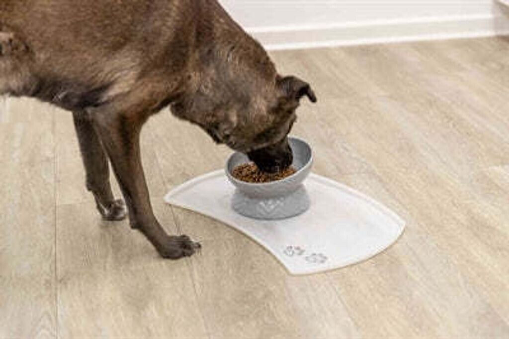 Trixie Gamelle pour chien Trixie Gamelle pour chien