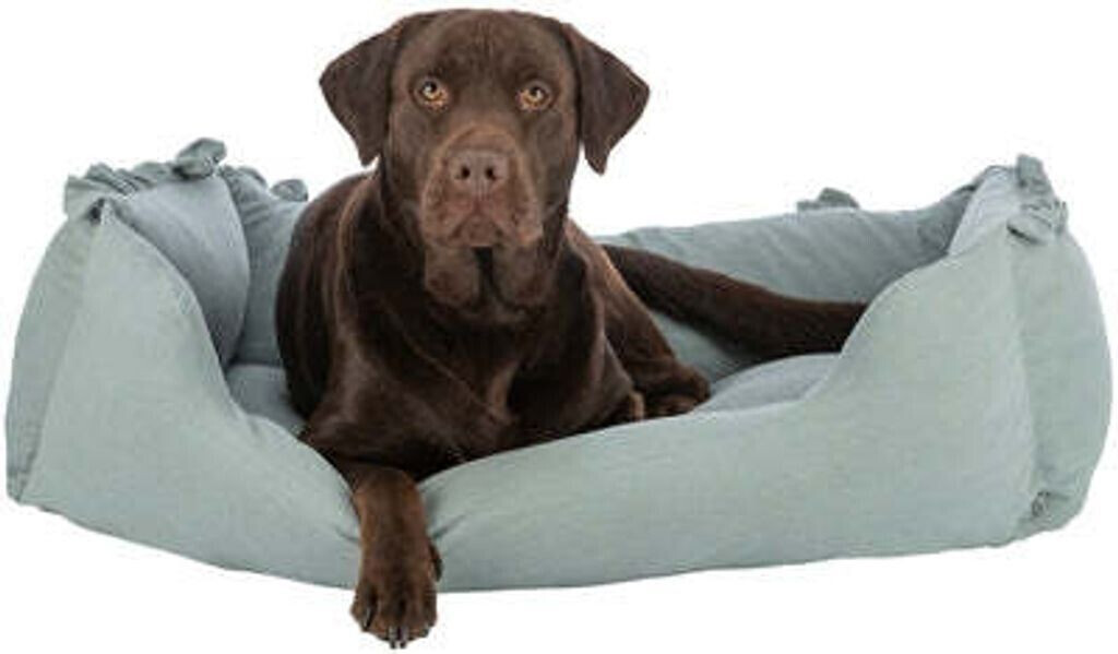 Trixie Lit pour chien 60x50cm sage Trixie Lit pour chien 60x50cm sage