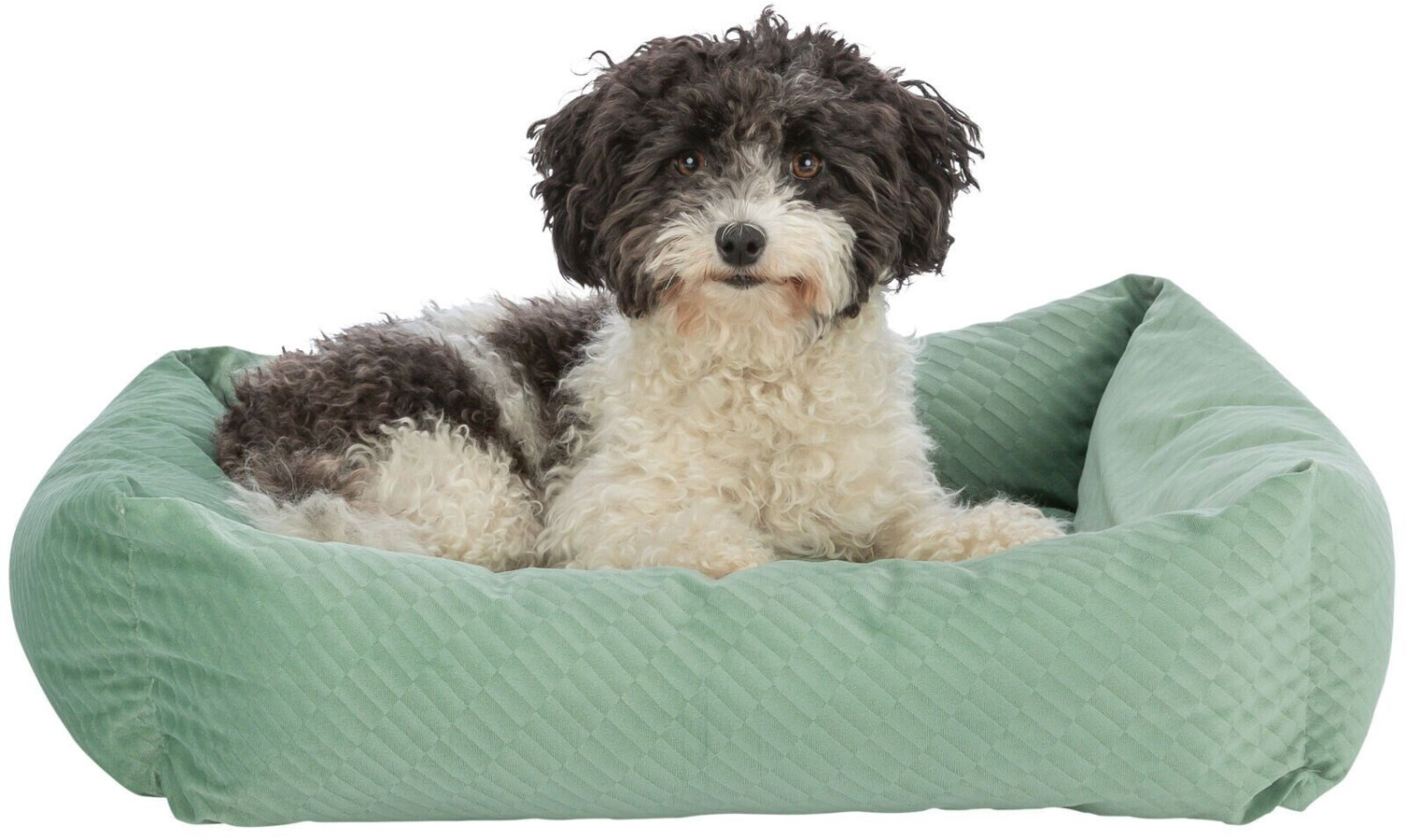 Trixie Lit pour chien 60x50cm sage Trixie Lit pour chien 60x50cm sage