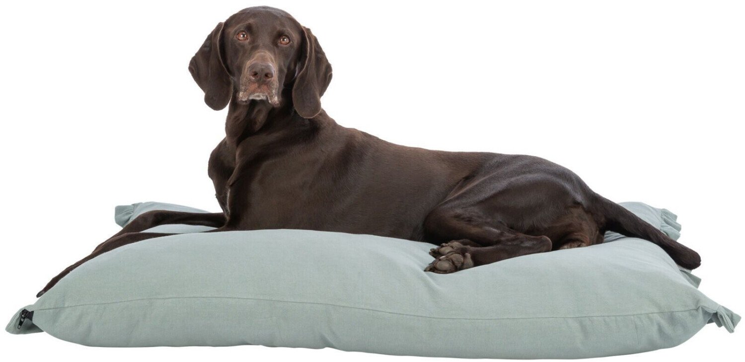 Trixie Coussin pour chien 80x60cm sage Trixie Coussin pour chien 80x60cm sage
