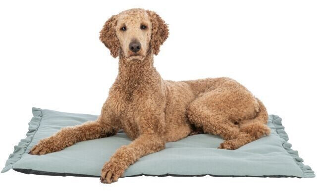 Trixie Tapis pour chien 70x50cm sage