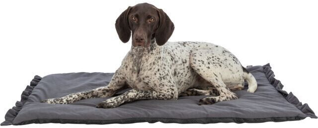 Trixie Tapis pour chien 110x75cm dark grey