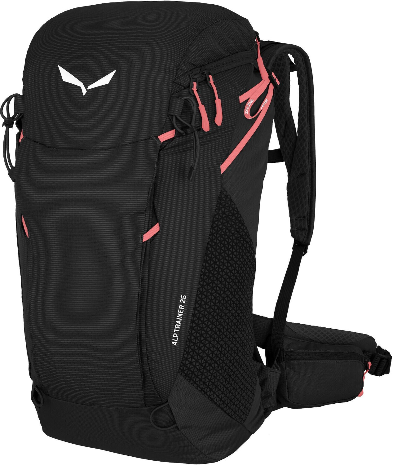 Salewa Alp Trainer 25L black out