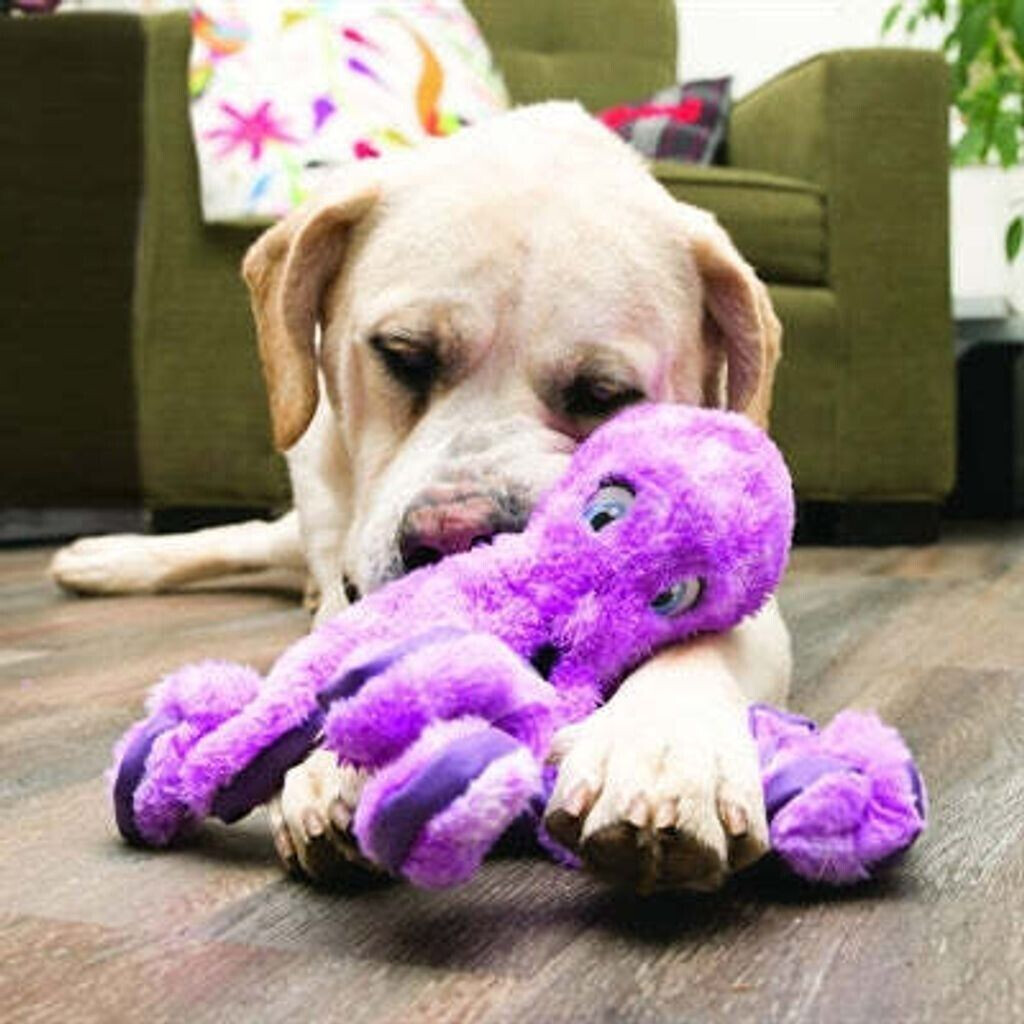 Kong Peluche pour chien L Kong Peluche pour chien L