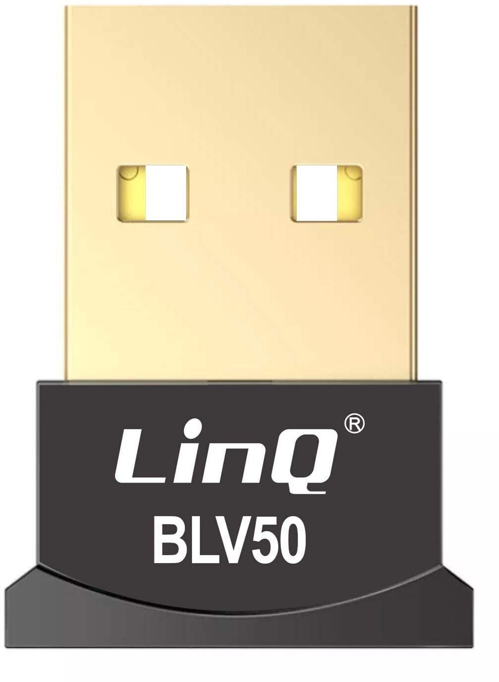 LinQ USB-Dongle BLV50