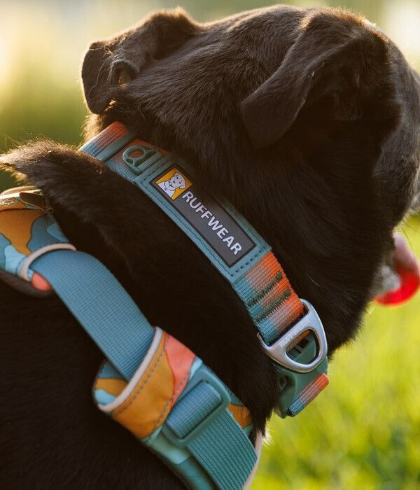Ruffwear Collier pour chien Spring Fade Ruffwear Collier pour chien Spring Fade