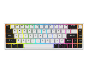 Arbiter Studio Polar 65 Silver Panda (US) ab 169,90 