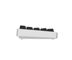 Arbiter Studio Polar 65 Silver Panda (US) ab 169,90 