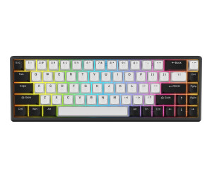 Arbiter Studio Polar 65 Black Panda (US) ab 169,90 