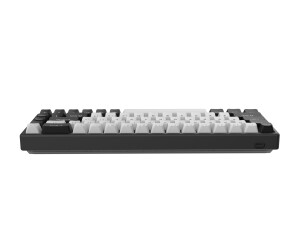 Arbiter Studio Polar 65 Black Panda (US) ab 169,90 