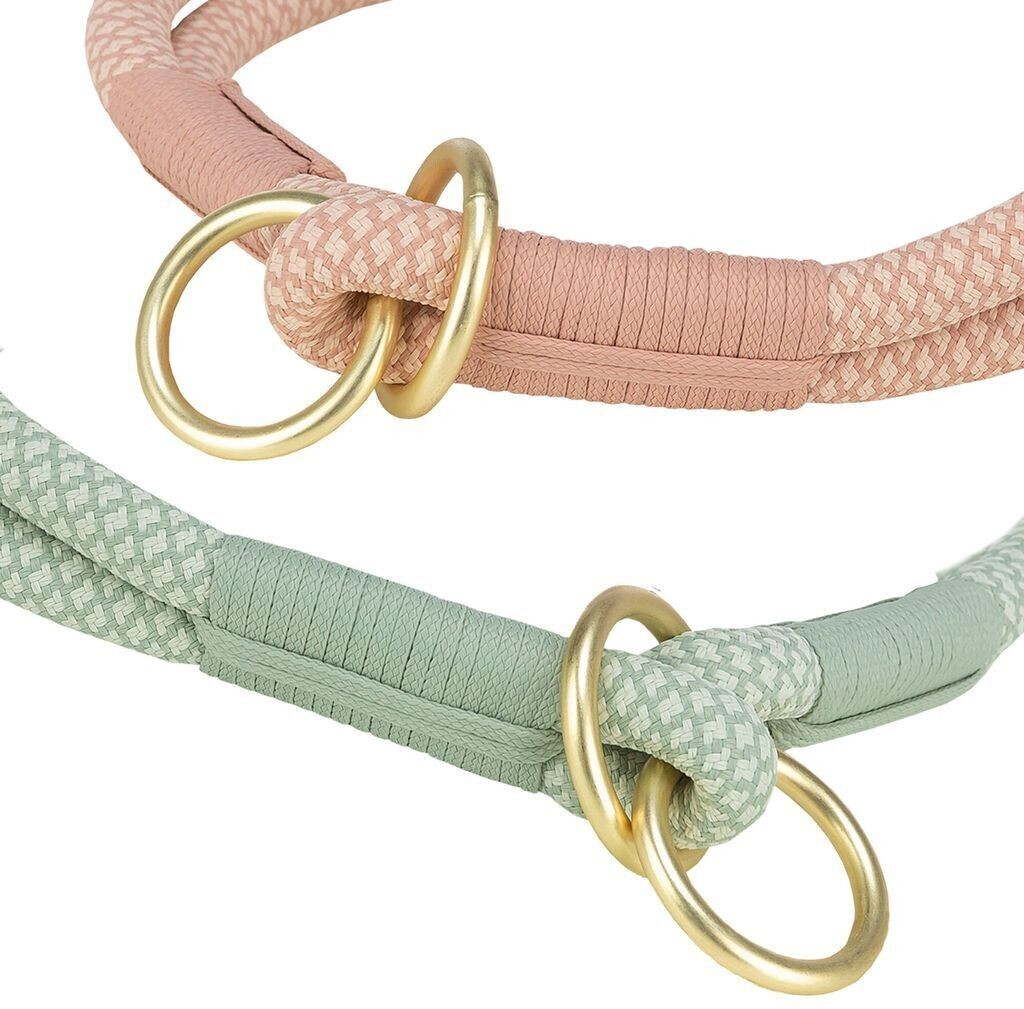 Trixie Collier pour chien 1984607 Trixie Collier pour chien 1984607