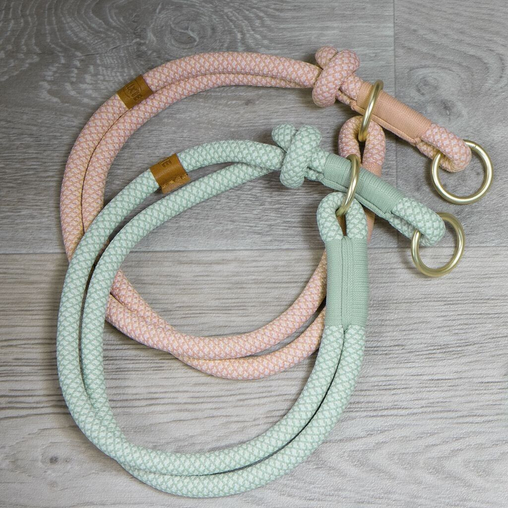 Trixie Collier pour chien 1984607 Trixie Collier pour chien 1984607