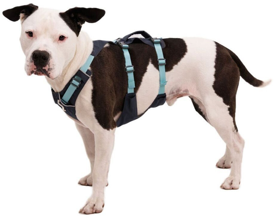 Ruffwear Harnais pour chien M Basalt Gray