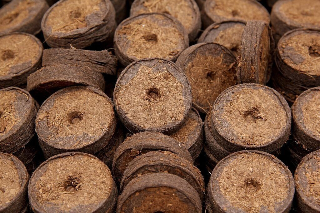 FLORTUS FLORTUS Kokos Quelltabletten mit NPK Dünger 36 Stk. (36 mm) - back view