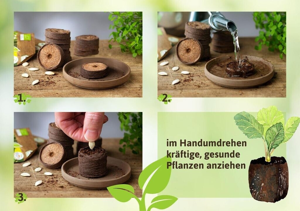 FLORTUS FLORTUS Kokos Quelltabletten aus Anzuchterde mit NPK Dünger 140 Stk. (36 mm) - back view