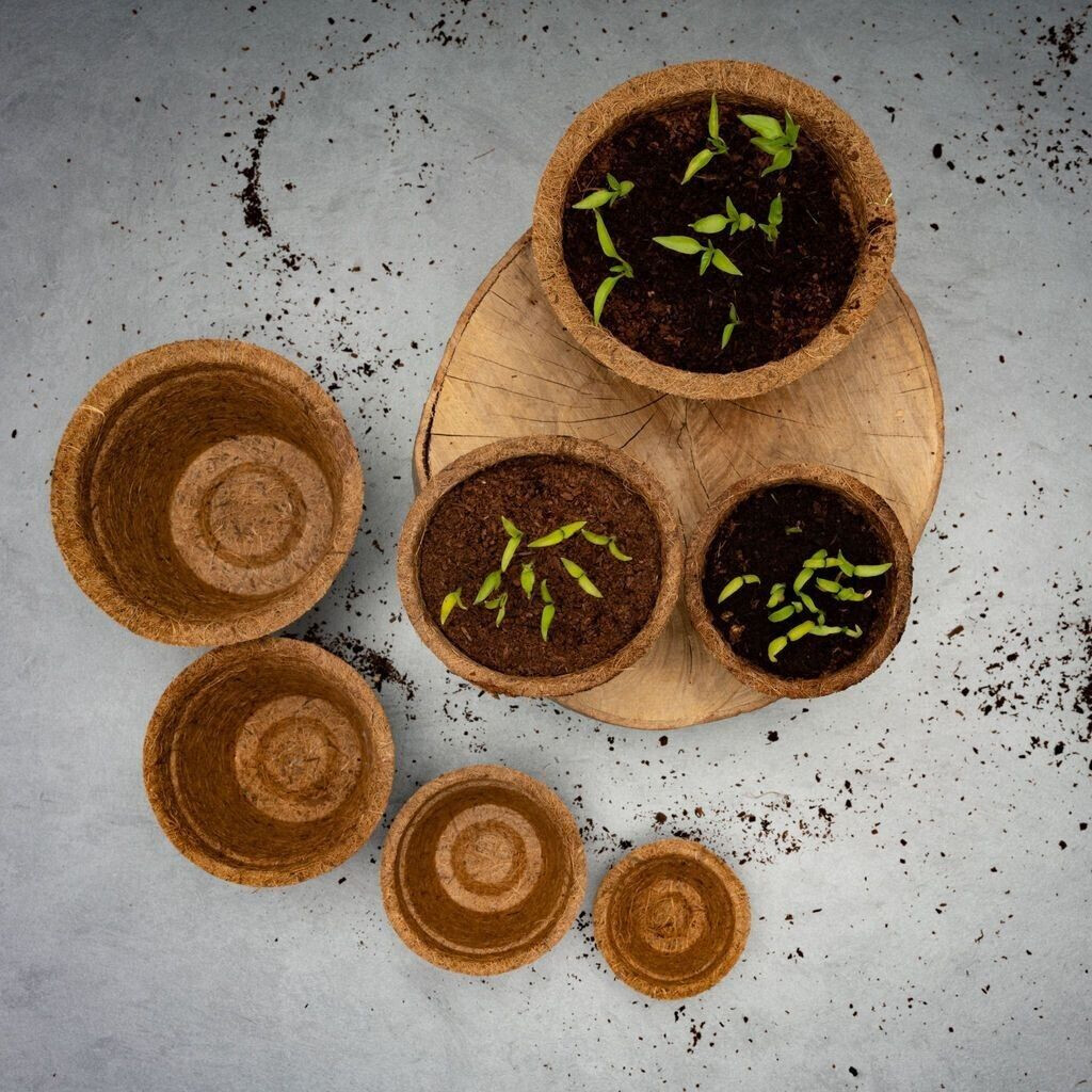 HappySeed HappySeed Kokos Anzuchttöpfe & Quelltabletten torffrei 0,30 L Ø10cm 5 Stk. - detail view