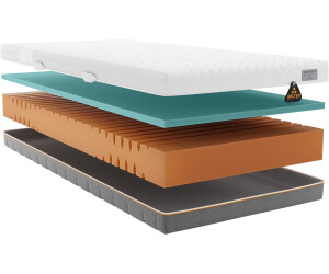 Schlaraffia Geltex Quantum Touch Next 200 100x200cm ab 780,82