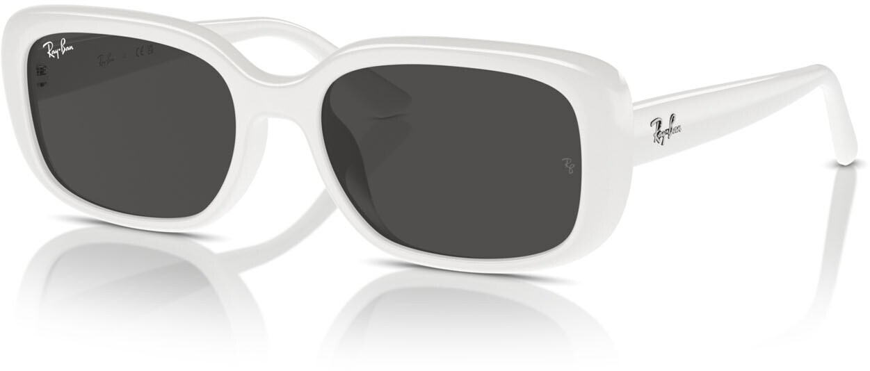 Bio Del Ray Ray-Ban RB4421D Bio-based desde 89,05 € | Compara precios en idealo