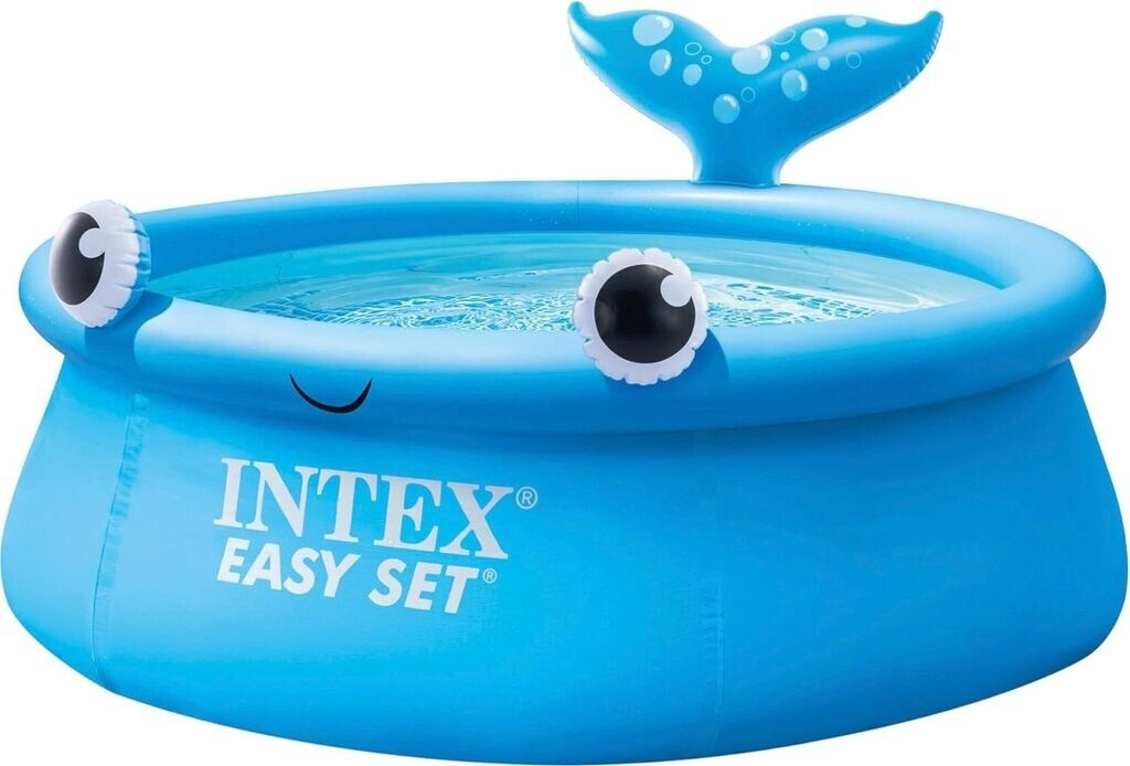 Intex 26102NP