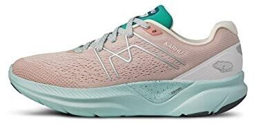 Karhu Fusion Ortix 3 Running Shoes grey