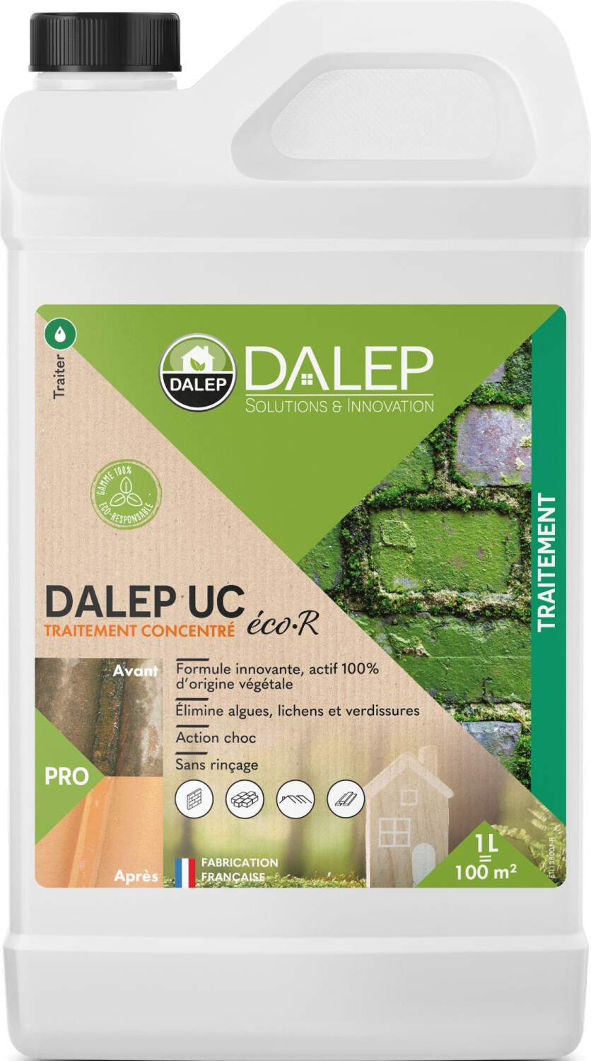 Dalep Antimousse économique sans rinçage 1 L