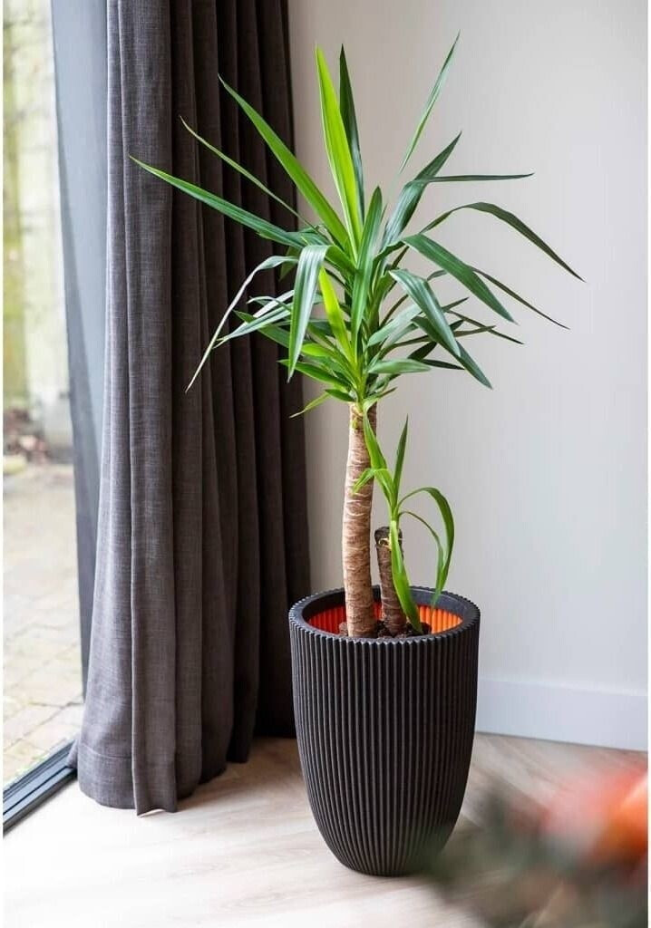 Capi Planter Ball Groove NL elegant 34x46cm Black