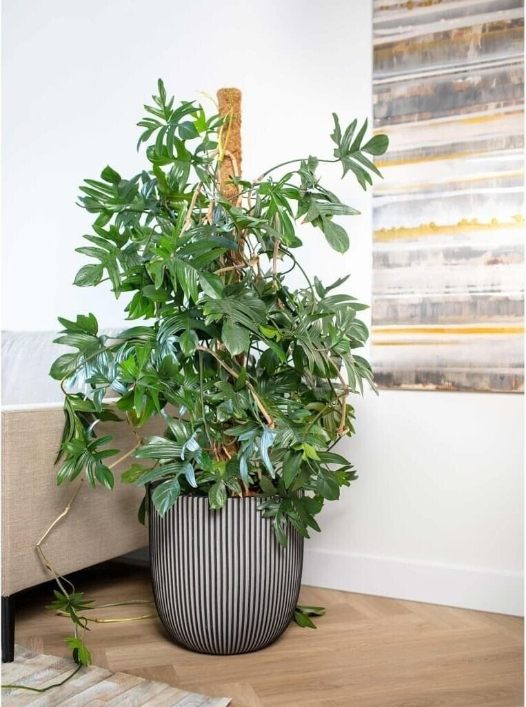 Capi Planter Ball Groove NL elegant 35x34cm anthracite