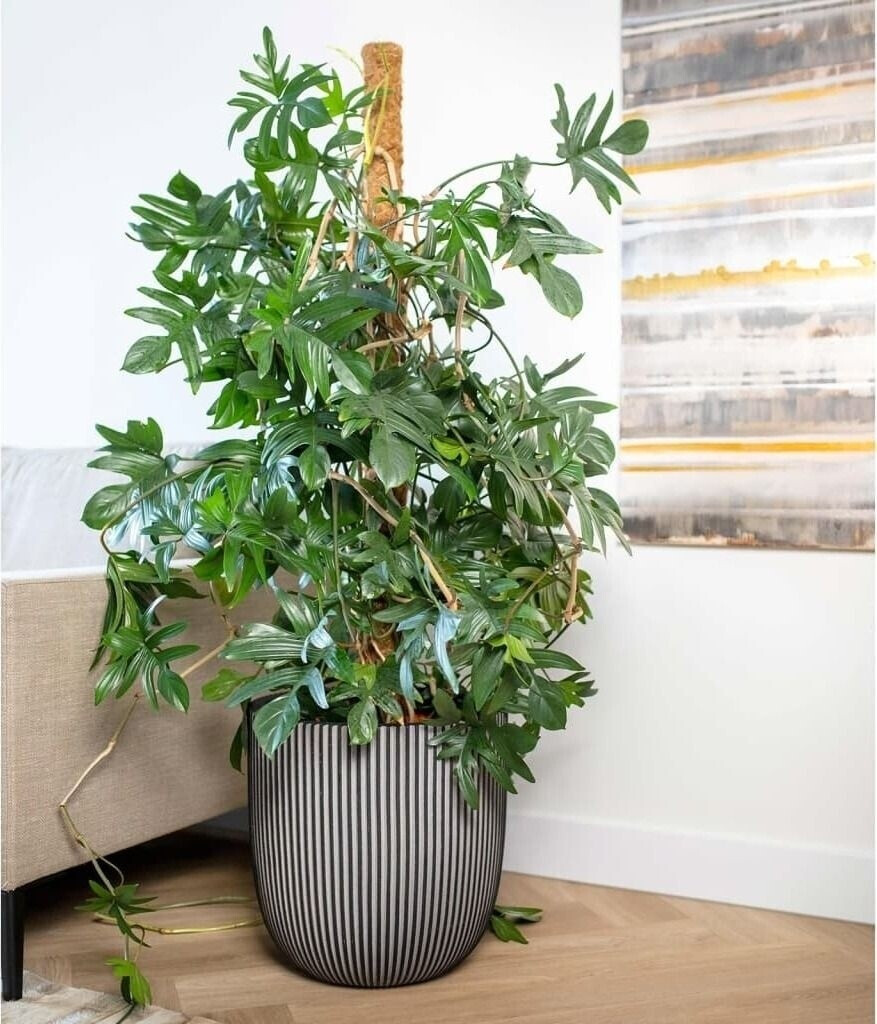 Capi Planter Ball Groove NL elegant 43x41cm anthracite