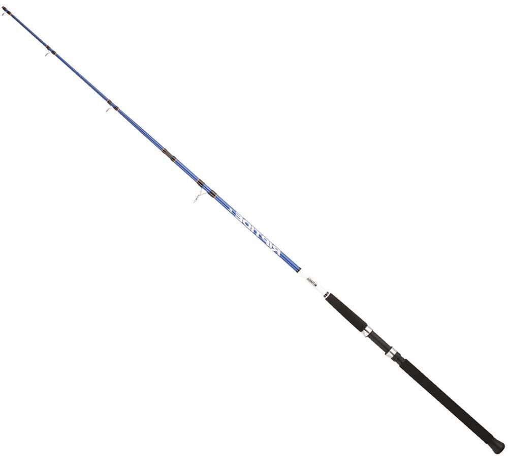 Mitchell Riptide R Dorade Spinning Rod Blau 2.40 m / 100-300 g