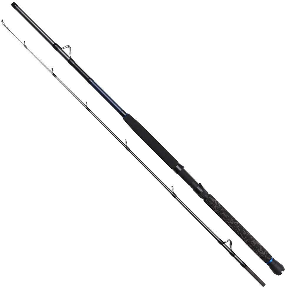DAM Imax Boat Trolling Rod Silber 2.10 m / 100-300 g