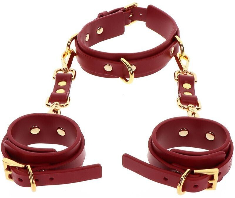 Taboom Bondage In Luxury D-Ring