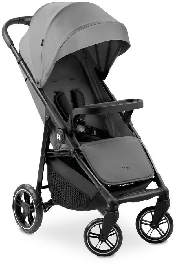 Hauck Shop N Care gray
