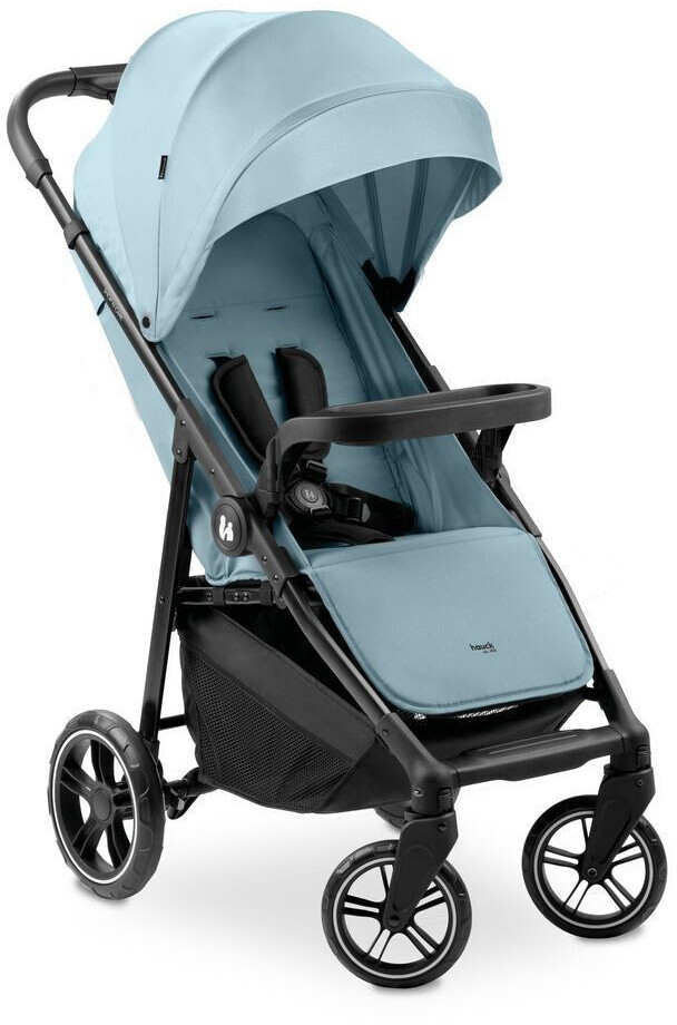 Hauck Shop N Care dusty blue