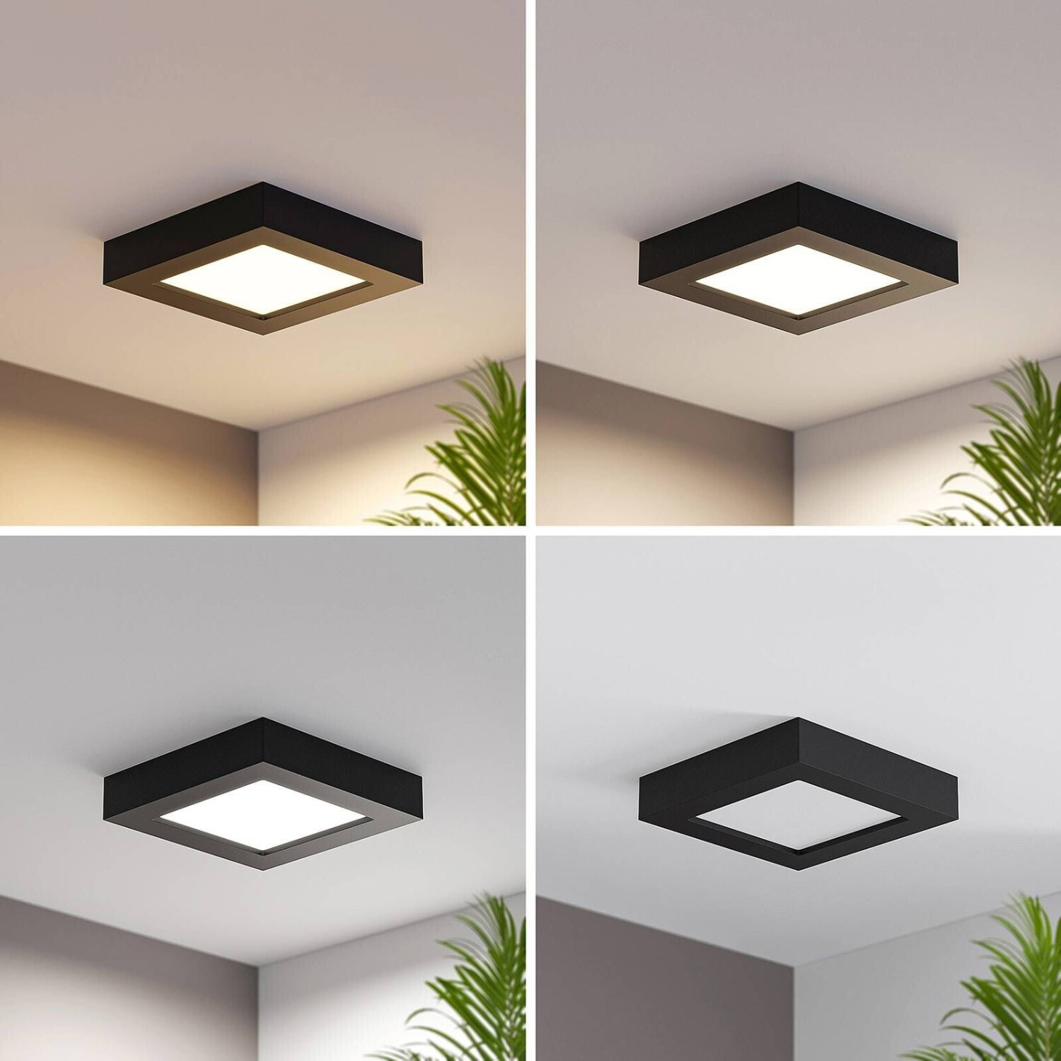 PRIOS Alette LED ceiling lamp, black, 12 W, CCT, dimmable