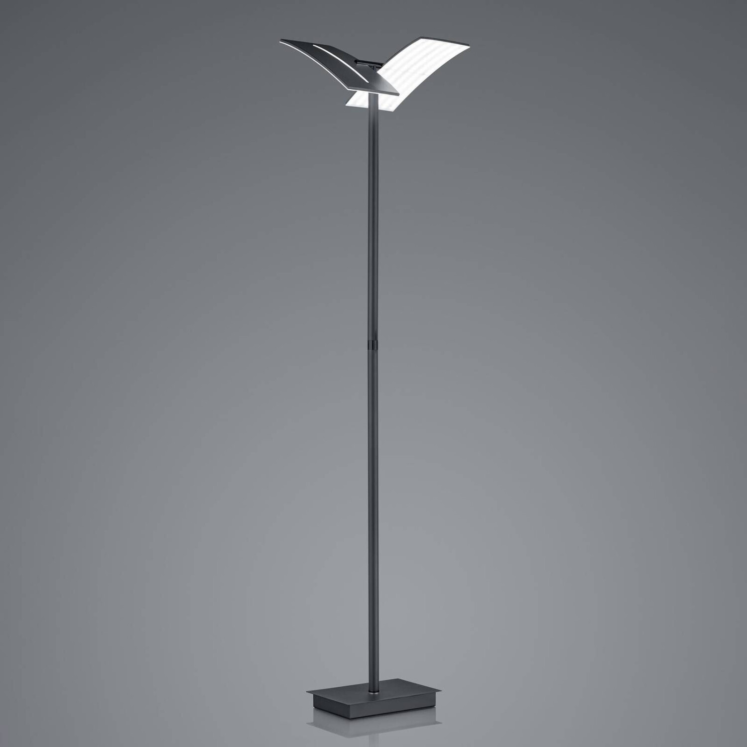 HELL LED floor lamp Dual CCT, dimmable, black