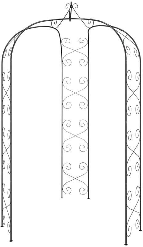 vidaXL Arche de Jardin noir 180 x 255 cm