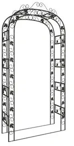 vidaXL Arche de jardin noir 16 x 45 x 240 cm