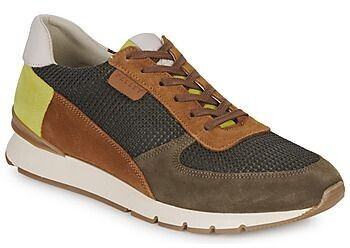 PELLET Sneaker MALO green