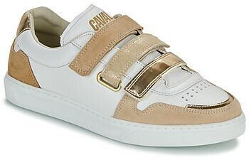 Caval Sneaker VELCROS gold