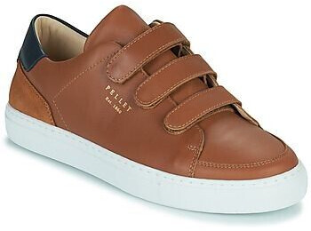 PELLET Sneaker SID brown