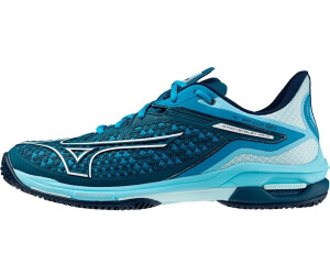 Mizuno wave ascend 6 white sale
