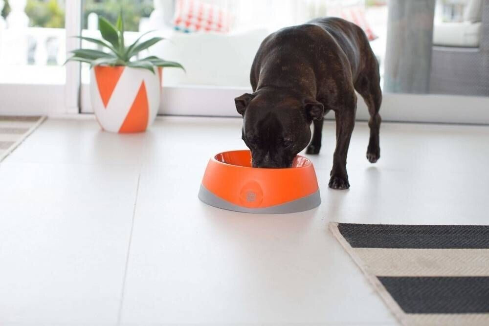 LickiMat Gamelle pour chien OB6004OR