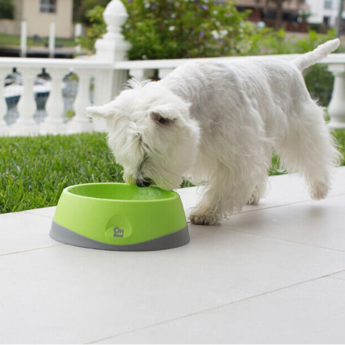 LickiMat Gamelle pour chien LickiMat Gamelle pour chien