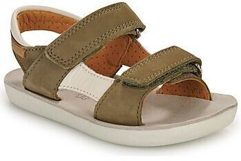 Shoo Pom Sandals GOA BOY SCRATCH khaki
