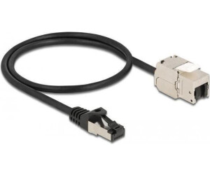 DeLock Keystone Module 4043619870257