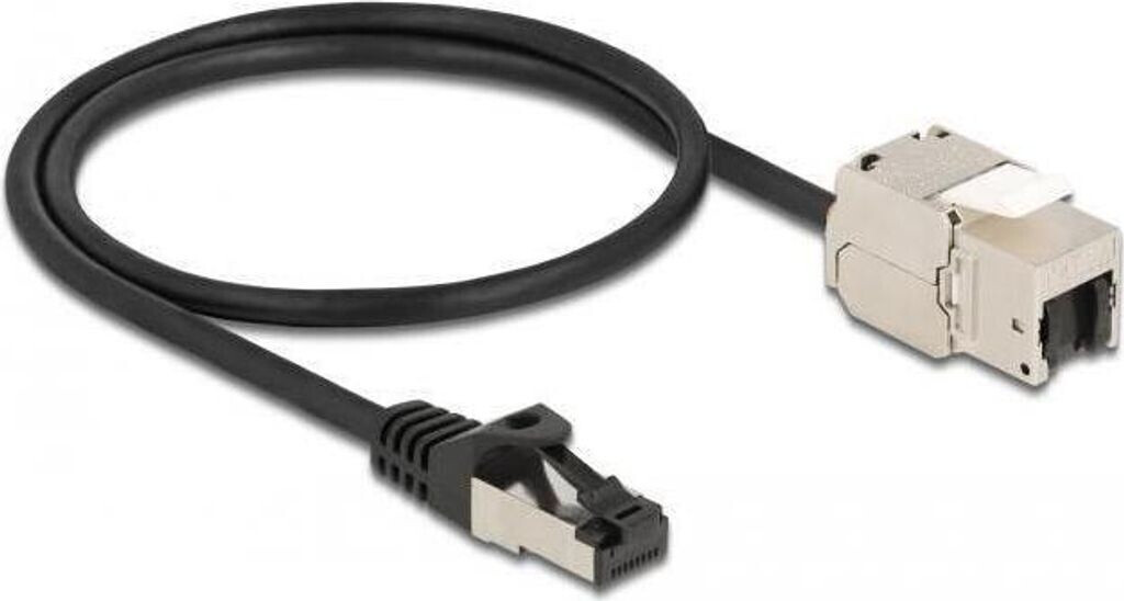 DeLock Keystone Module 4043619870257