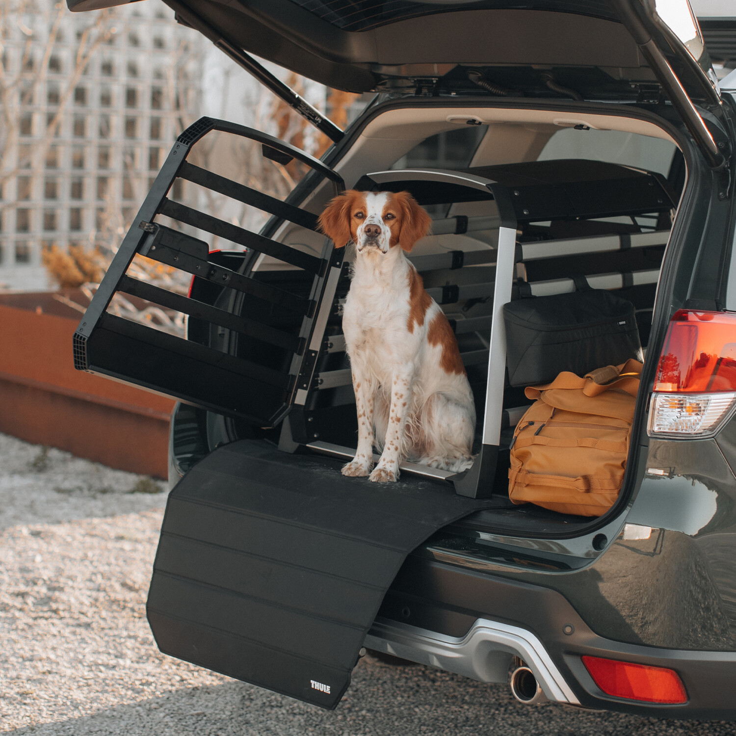Thule Accessoires pour caisse de transport 770103 Thule Accessoires pour caisse de transport 770103