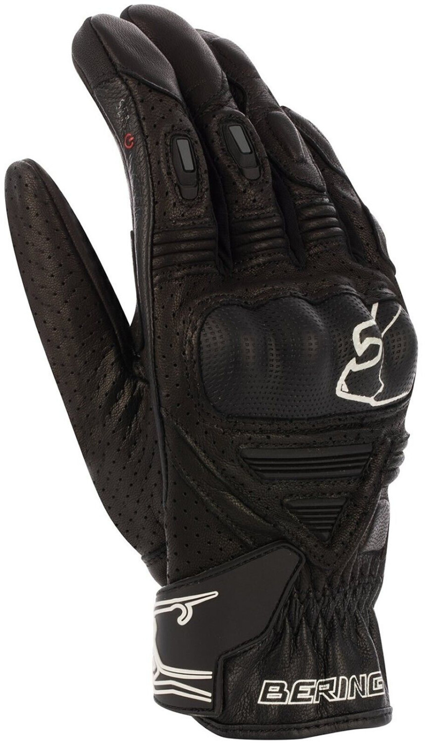 Bering Gants Rift