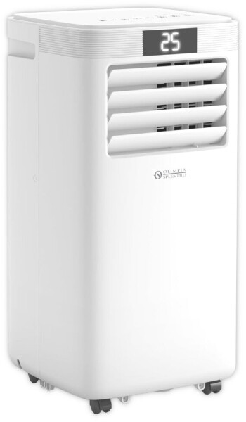 Olimpia Splendid DolceClima 10 HP WiFi (02474)