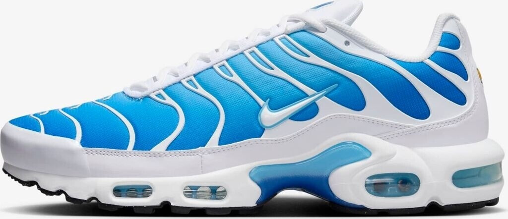 Nike Air Max Plus Men's Shoe blue